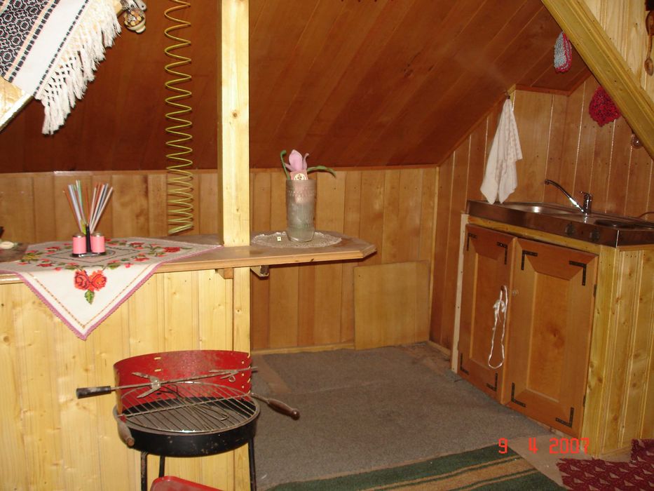 Vila Orsova de vanzare