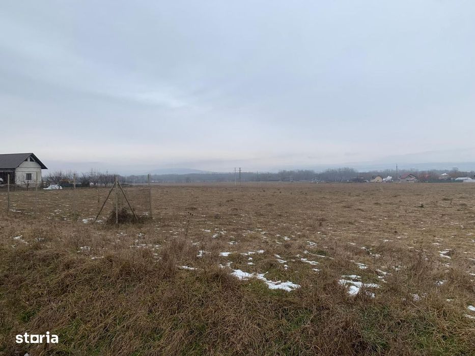Cedare concesiune teren 2.000 mp | Todirești (Părhăuți)