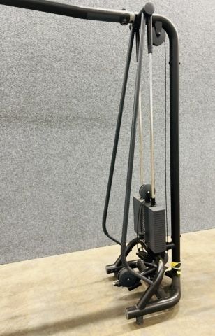 TechnoGym портален скрипец / кросоувър
