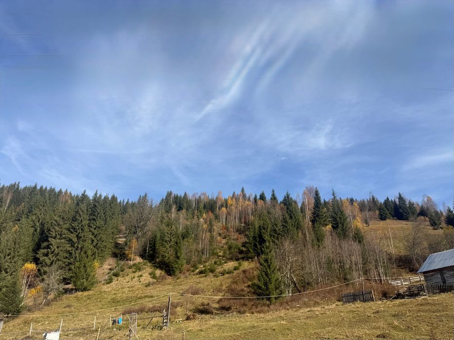 DIRECT PROPRIETAR Atractiv pentru pensiune/casă de vacanță): Teren de Poveste la Munte – 6.000 mp Intravilan + 6.000 mp Extravilan,Dorna Arini-Ortoaia