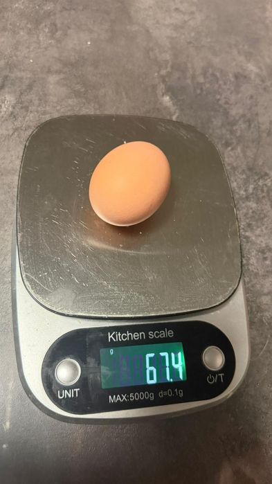 Инкубационные яйца