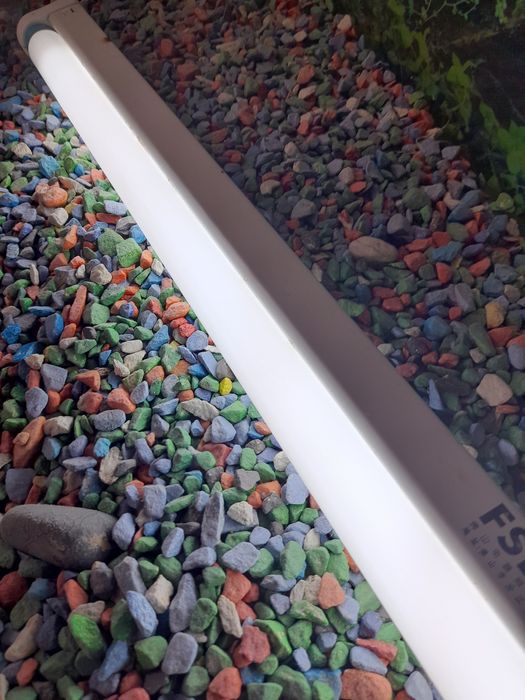 Аквариум с грунтом и светильником