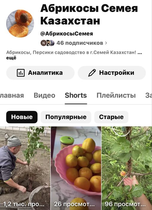 Саженцы абрикоса