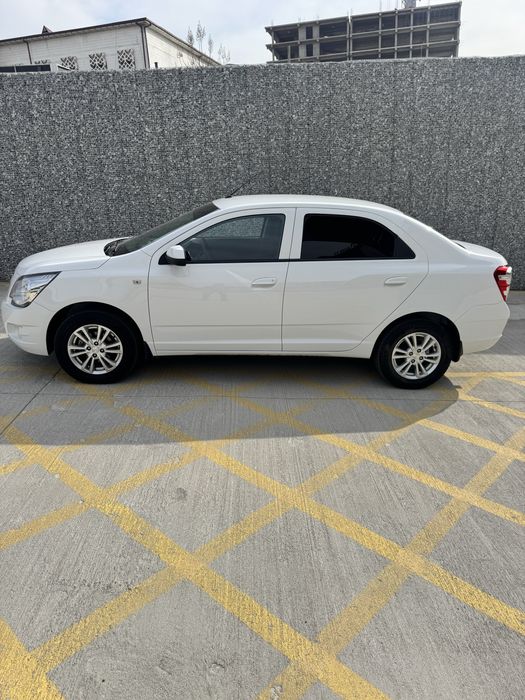 Cobalt 2024/25 propan tozza