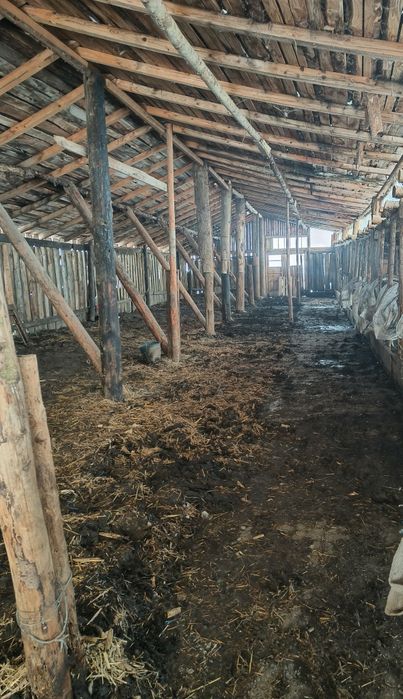 Gunoi grajd,pământ negru, humus