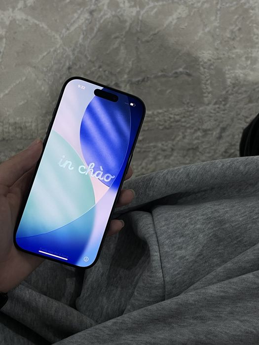 17 pro 256 гб 99 емкость