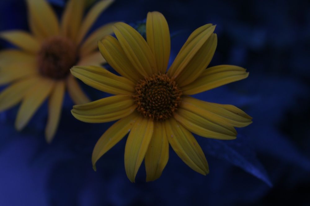 Фотокамера Сanon EOS 600D Kit 18-55 II