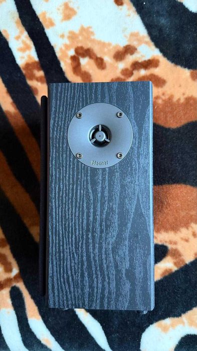 Boxe Magnat Monitor S10 D