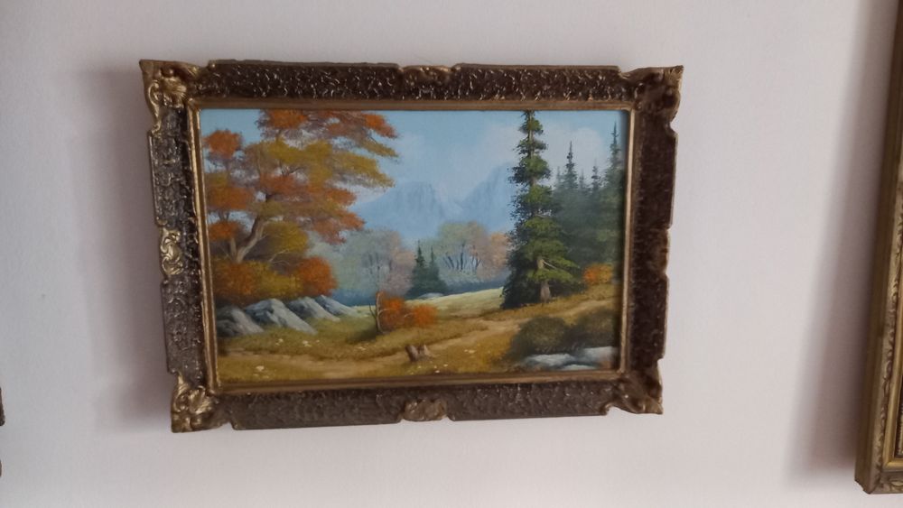 Vand picturi pe panza și litografii inramate frumos,superbe,stare perfecta