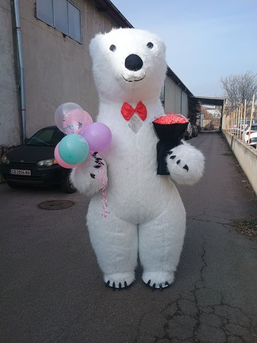 40 € Изненада с Голямото бяло Мече