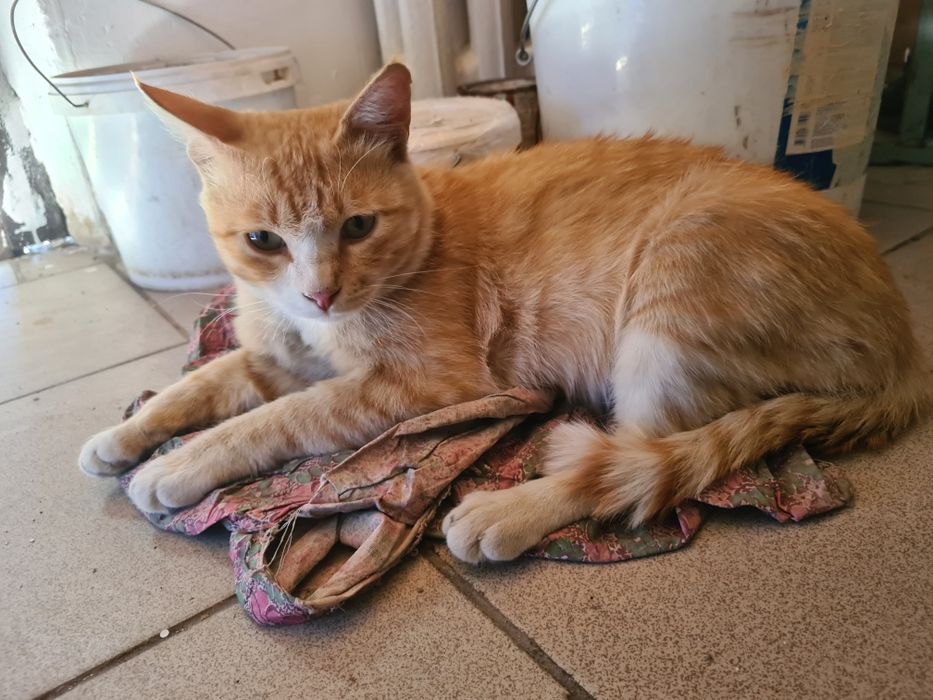 Алматы облсы карасаи ауданы турар аулы