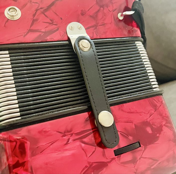 Acordeon Hohner Bravo iii, 120 basi !