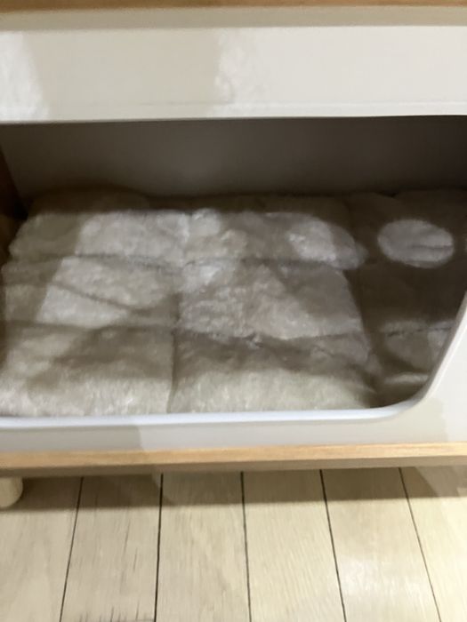 Легло за коте или куче