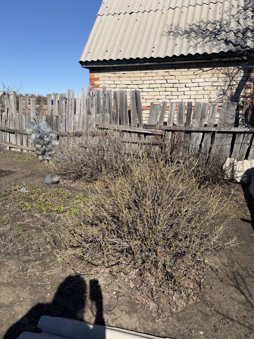 Продам дачу в содовом обществе номер 7