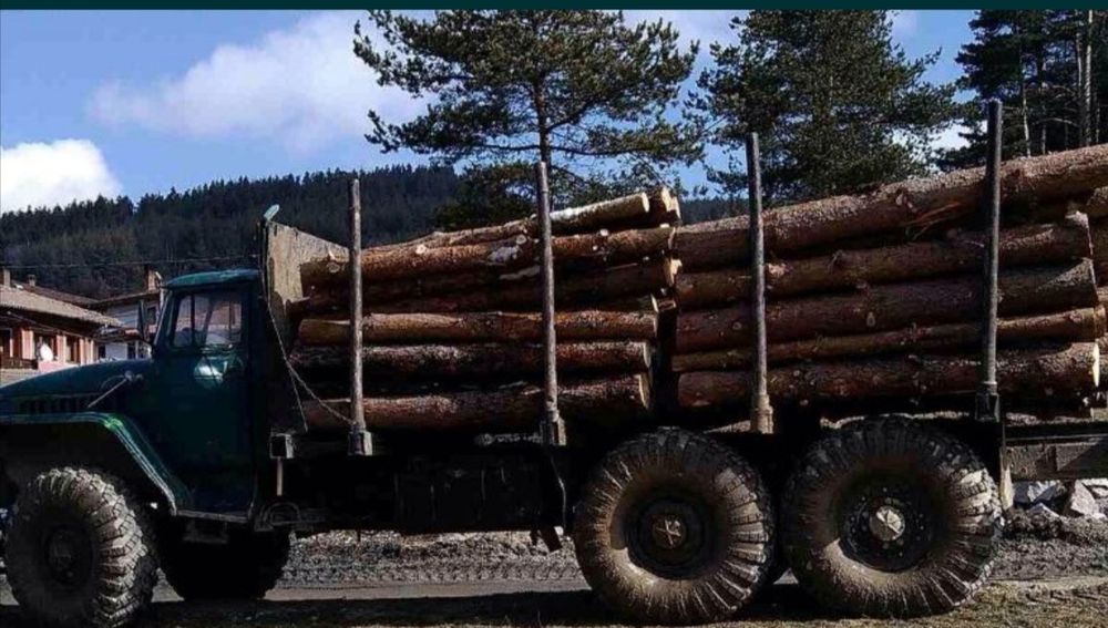 GPS на камиони за дърводобив Диян Димитров