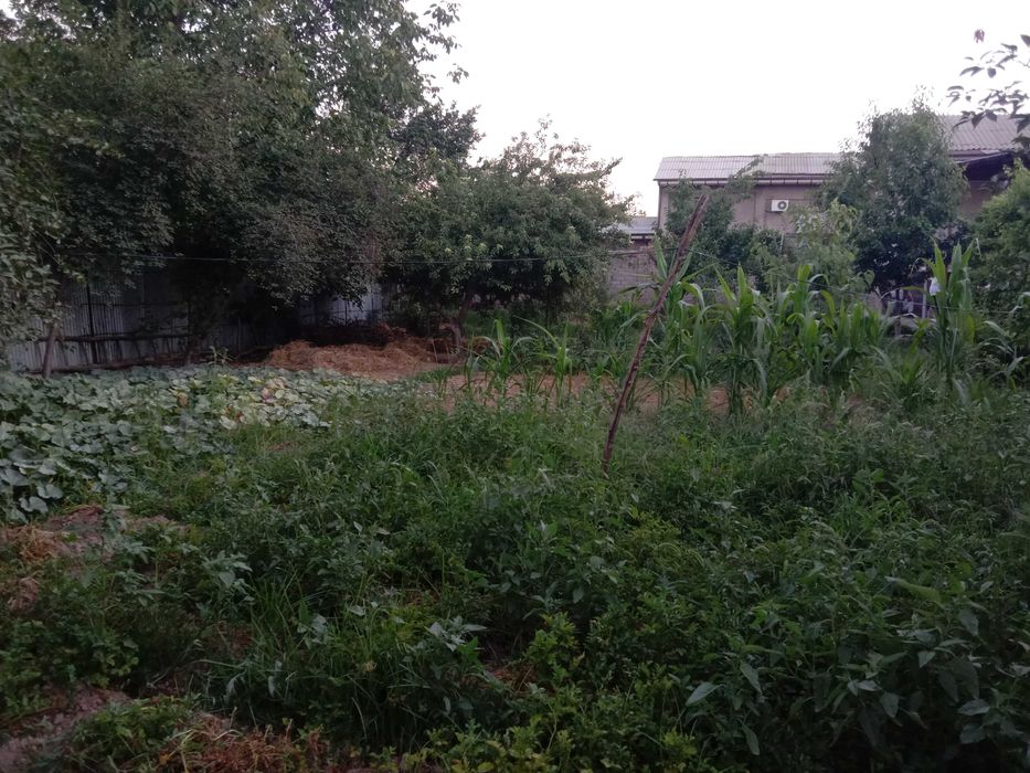 Срочно ер сотилади Кибрай туман,  Янгийул махаллада.