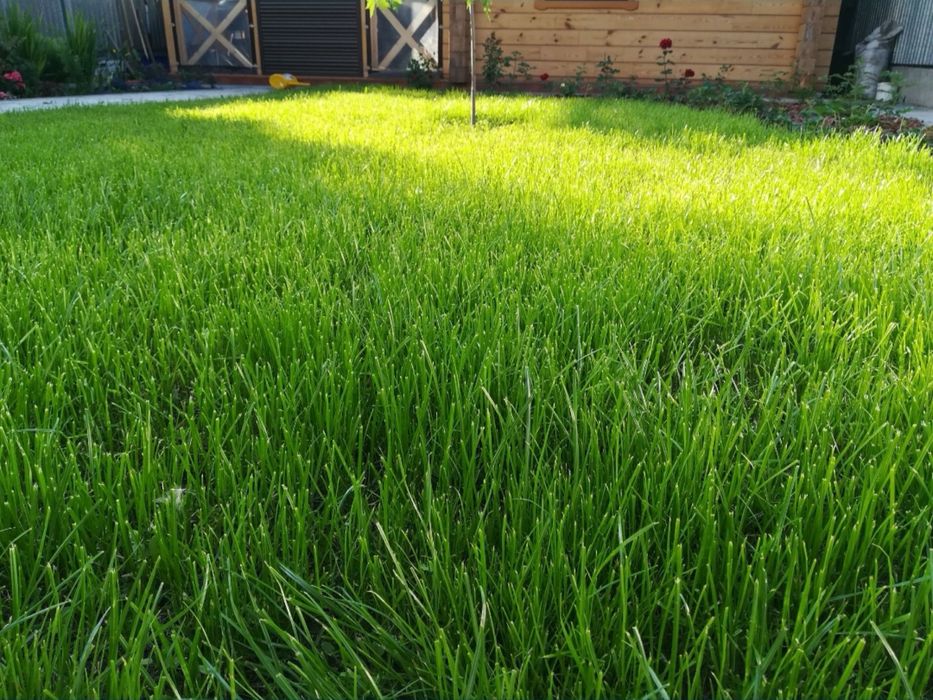 Озеленение под ключ