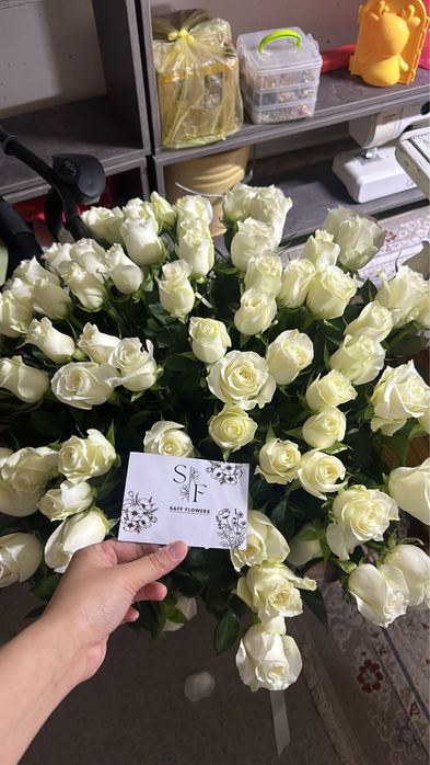 цветы белые розы