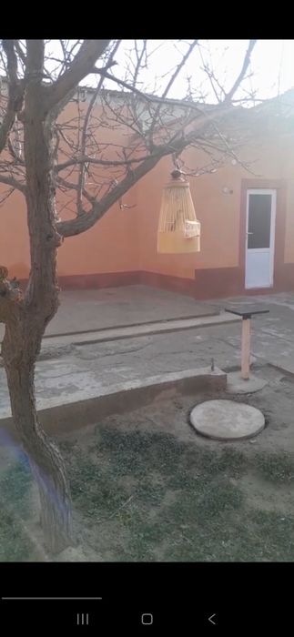 Италия бедана сотилади зоти Тоза срочно пул керак Атига 300минг