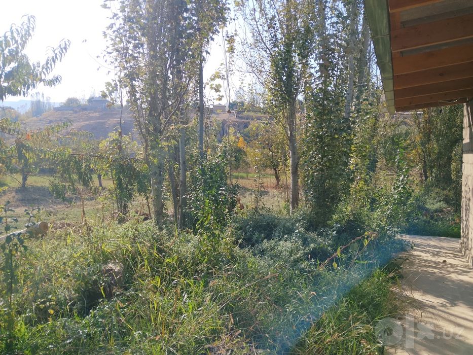 Yakkabog' tumani, Tatar mahallasida 4 sotix yer sotiladi