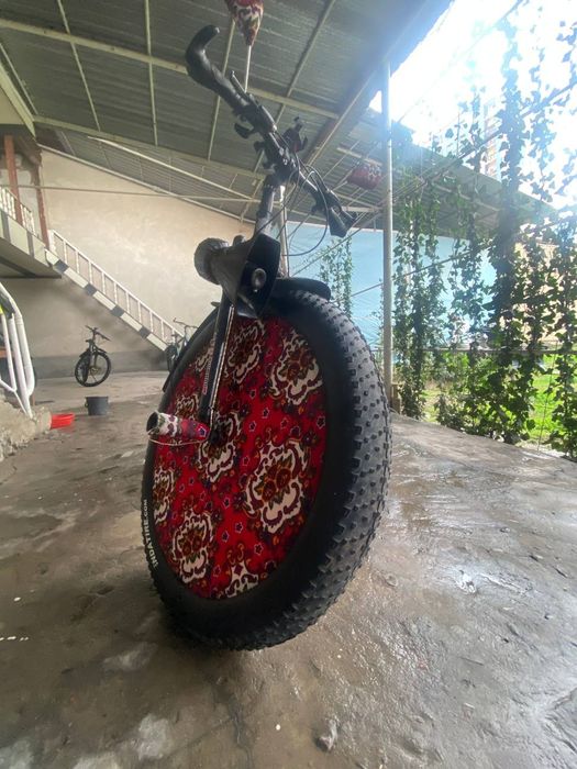 Velosped holati zoʻr