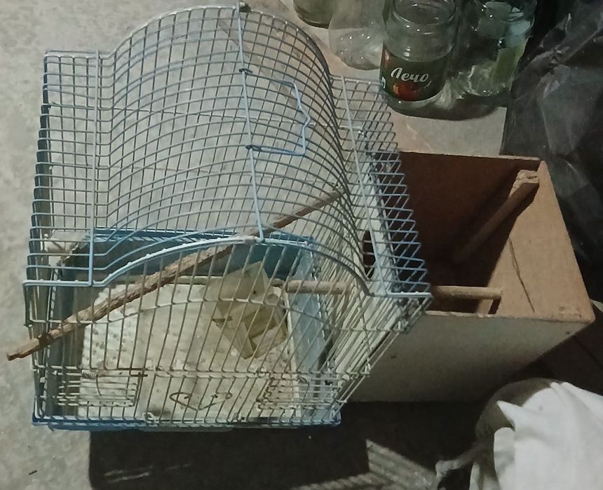 Куш кафаси сотилади