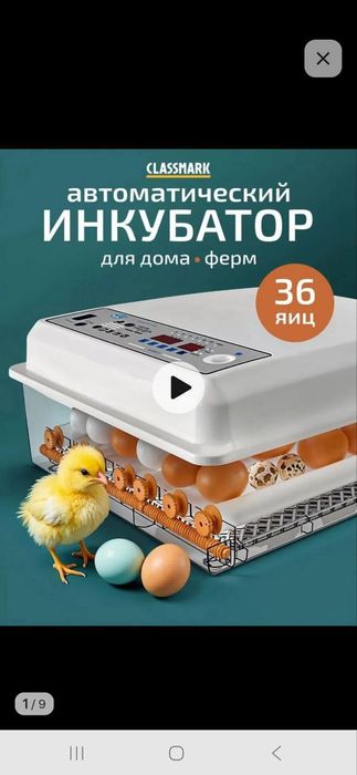 120 тали автомат инкубатор новый