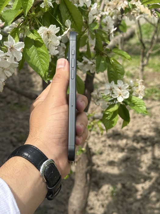 Iphone 15 Pro Max 256 Gb 86% yomks