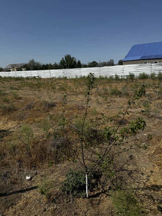 Дача в мкрн. Коктем