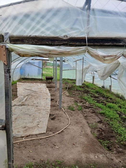 Оранжерия 10 мдълж