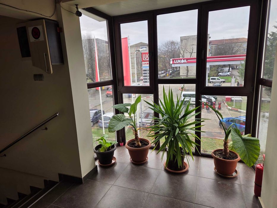 Spațiu de birouri primitor, zona Lipovei