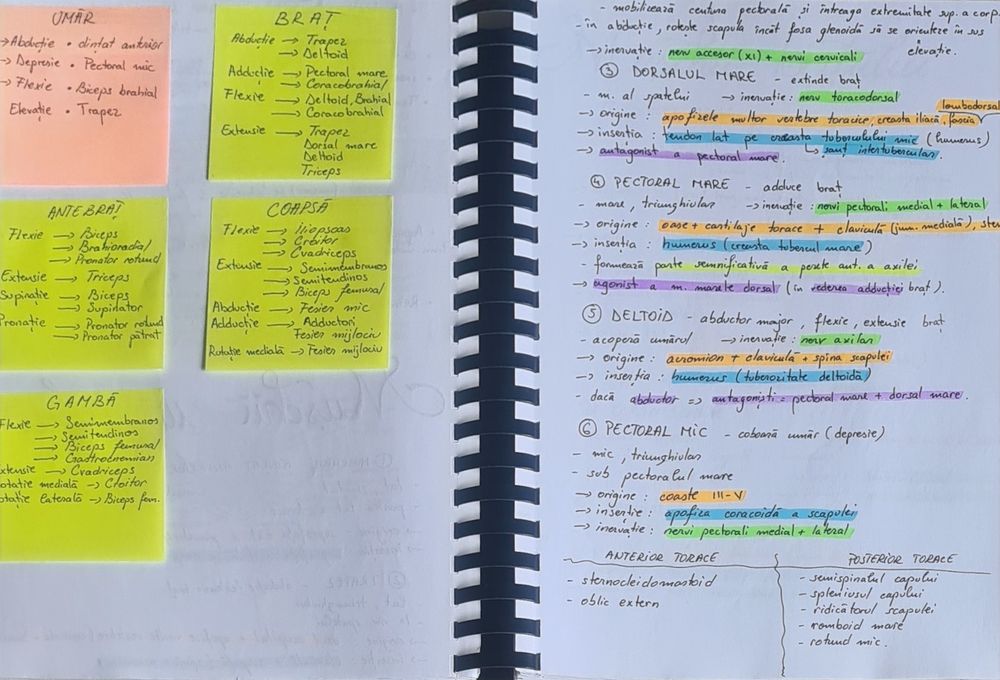 Sinteze Barron's pentru admiterea la medicină