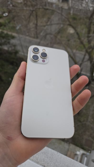 Iphone 12 Pro Max - 512gb