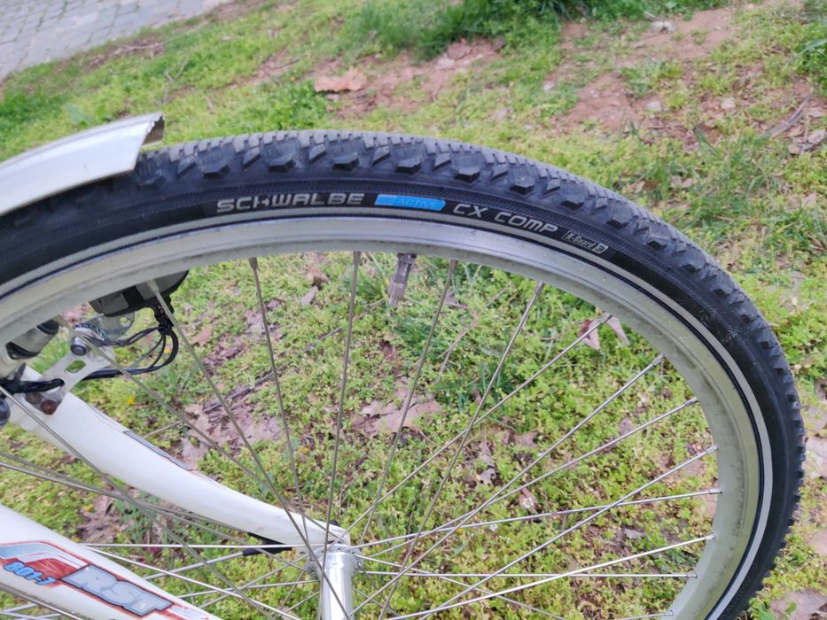 Bicicleta  Giant Freerider