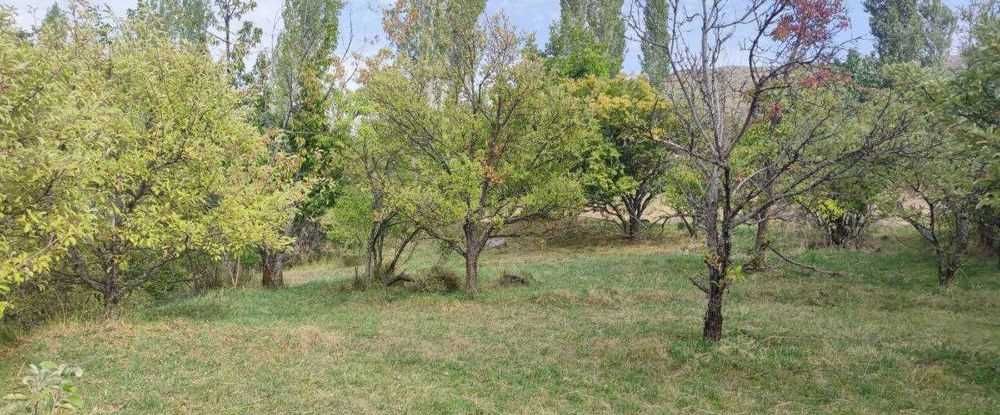 Продаётся участок в Чимгане