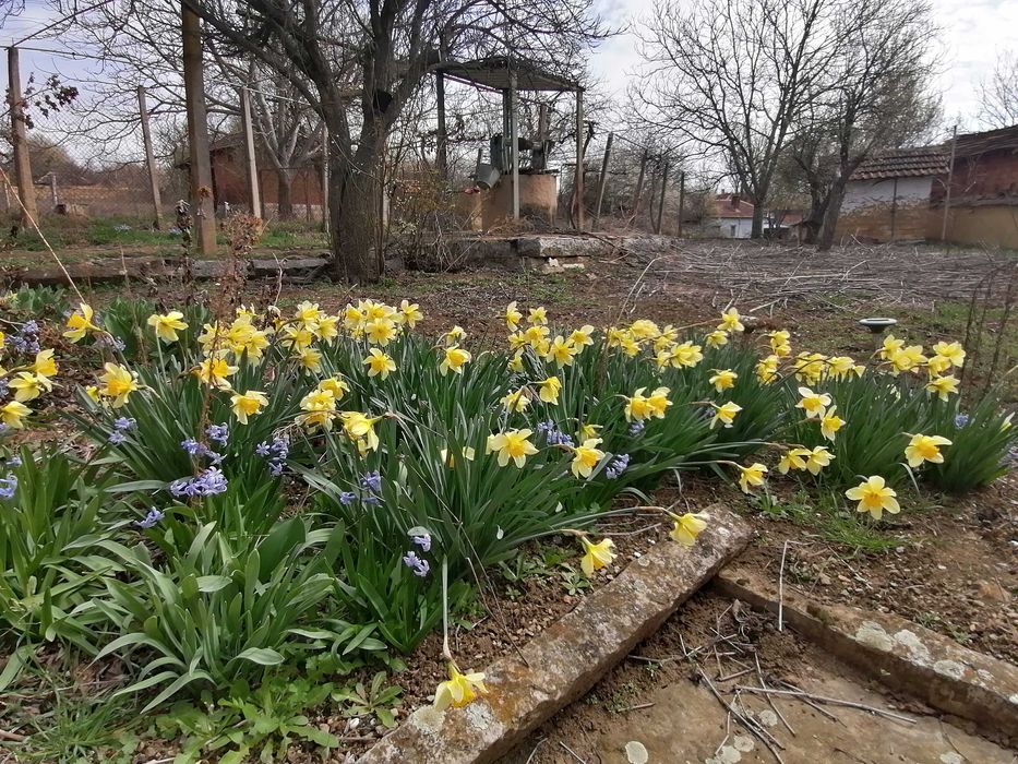 Къща с. Стубел, обл. Монтана