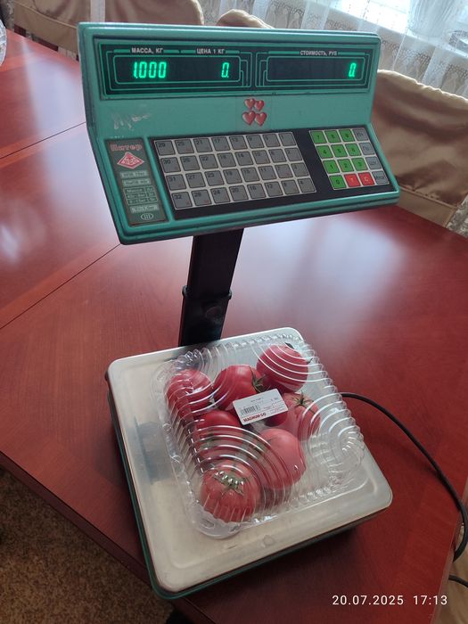 Весы "Питер" настольные 14000тг