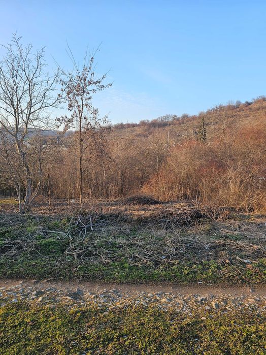 De vanzare teren intravilan in Cartierul Podgoria 892mp