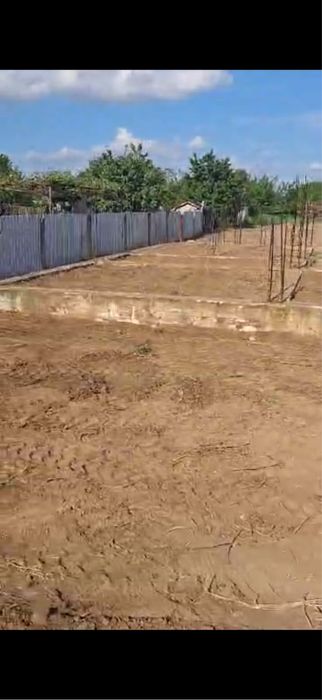 Teren Intravilan Dumbrava Bacau