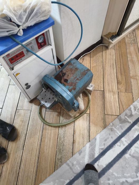 Триммер и пароструй