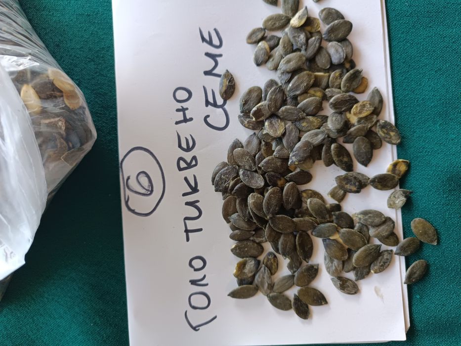 Продавам тиквени семки за сеене