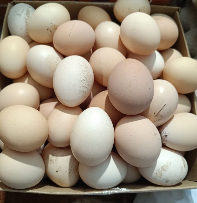 Ouă de țară de vânzare