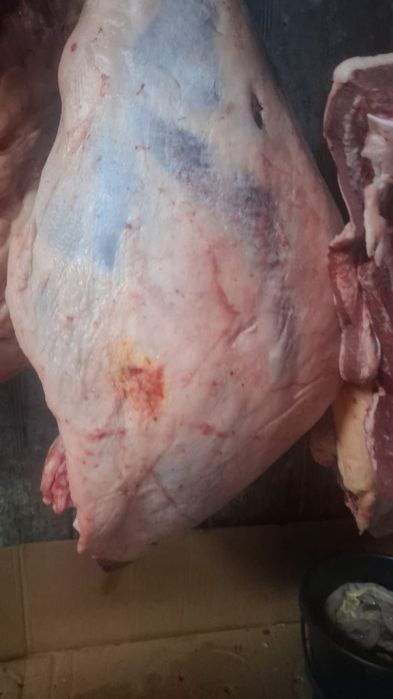 Жылкы/Конина/Сиыр/Говядина