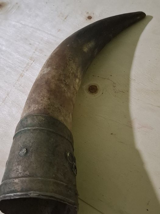 Продавам стар автентичен рог