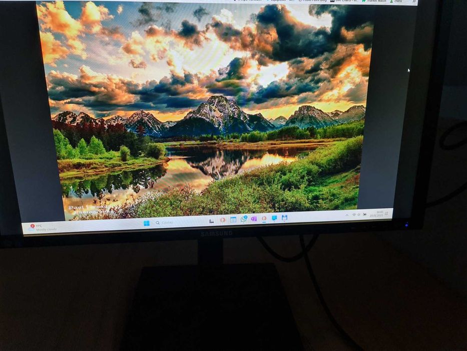 monitor samsung S24E450