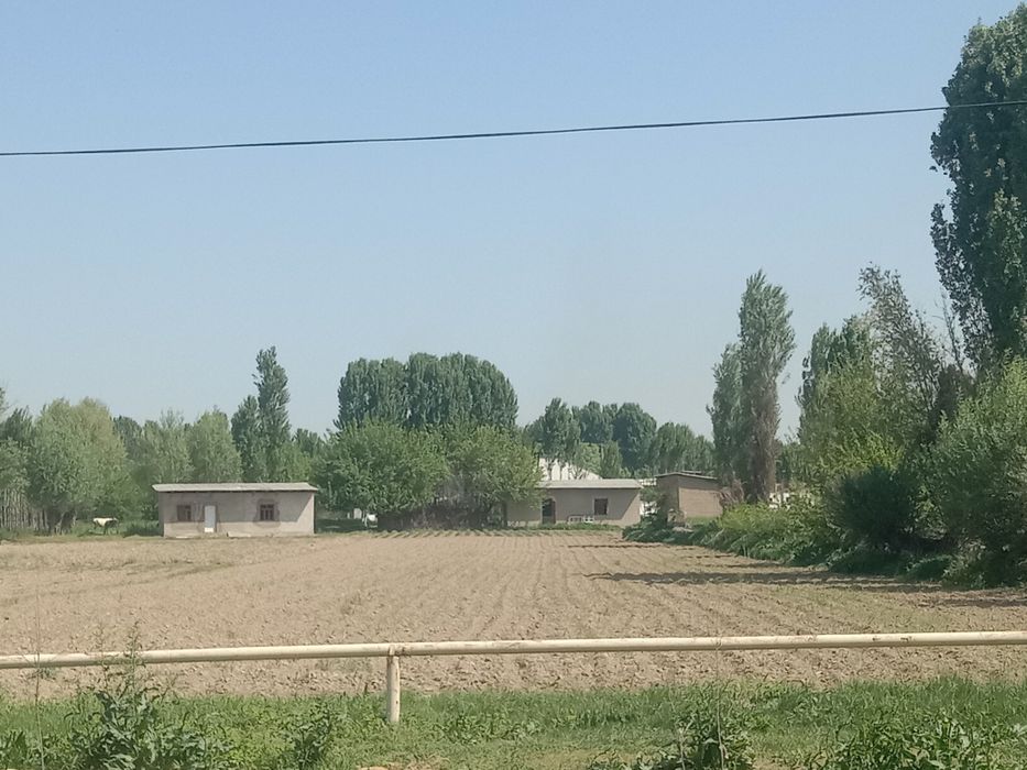 Срочна Уй сртилади