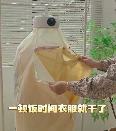 Сушка для белья электрическая, Подвесной, Тепловая помпа, 2 программа