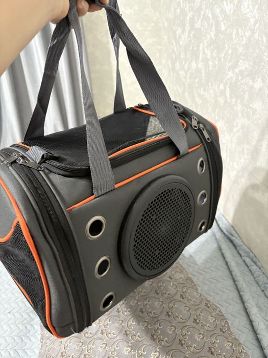 Мысыққа переноска