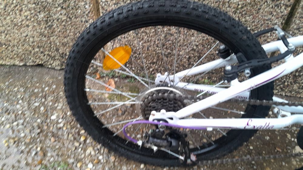Bicicletă mtb copii ( fetiță 6-9 ani ) Exalta, 20 Inch, suspensie, 6 viteze