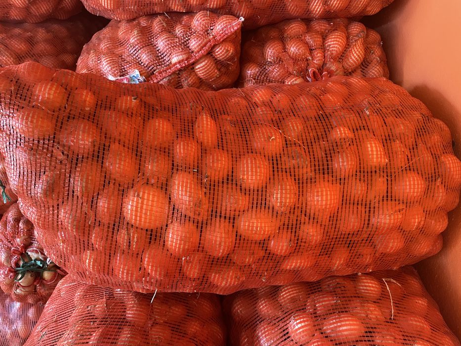 Продам лук среднего калибра